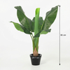 Kunst Bananenplant Musa