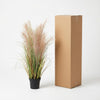 Kunst Phragmites Grass