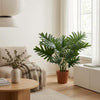 Kunst Philodendron Selloum