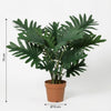 Kunst Philodendron Selloum