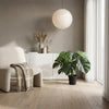 Kunst Monstera Deliciosa