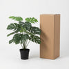 Kunst Monstera Deliciosa