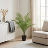 Kunst Kentia Palm