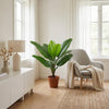 Kunst Philodendron Jungle King