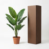 Kunst Philodendron Jungle King