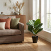 Kunst Ficus Lyrata