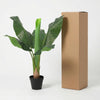 Kunst Bananenplant Musa