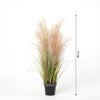 Kunst Phragmites Grass